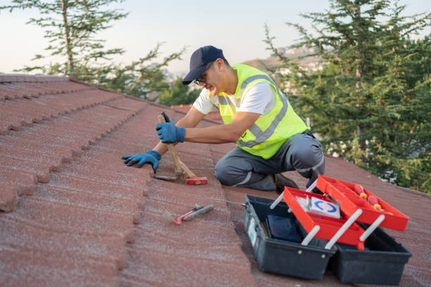Best Storm Damage Roof Repair  in Mount Ayr, IA